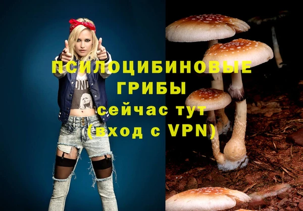 экстази Россошь