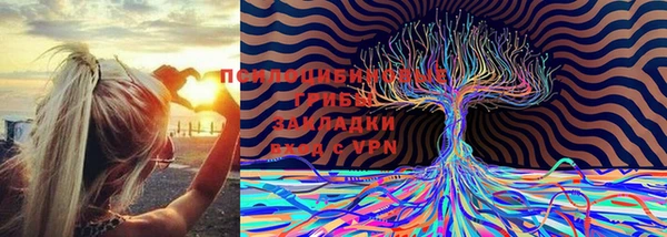 mix Рославль