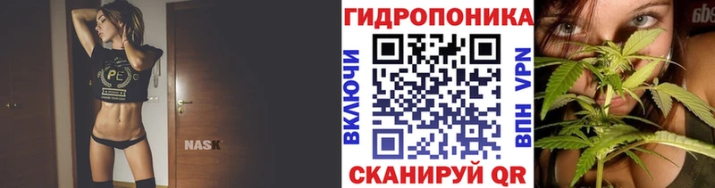 Канабис ГИДРОПОН Южа